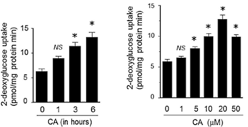 Slimming aid carnosic acid has anabolic effect