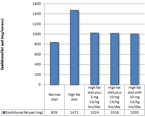 Carnosic acid animal study: no weight loss but some fat loss