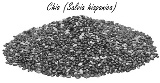 Endurance athletes can also use chia to load