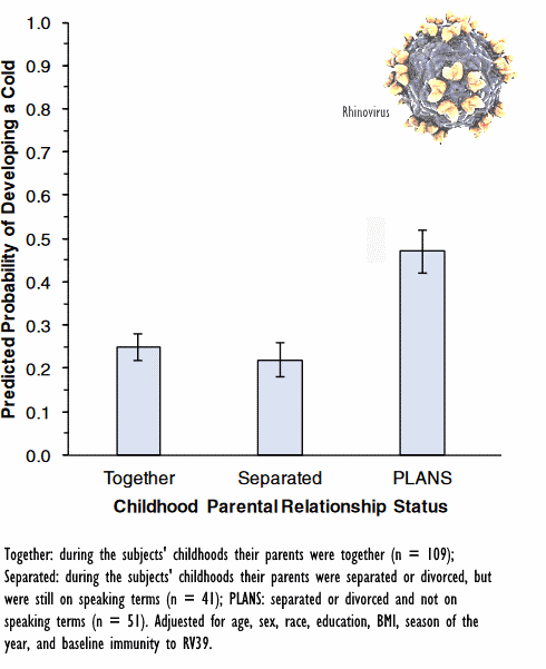 How divorced parents can mess up their children's immune systems