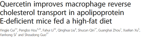 How quercetin protects blood vessels against cholesterol