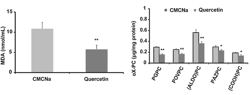 Foods that contain significant amounts of quercetin analogs or similar substances protect against cardiovascular disease. Thanks to fundamental research, carried out with mice and immune cells, we better understand why. Quercetin ensures that the body is better able to clean up a surplus of cholesterol.