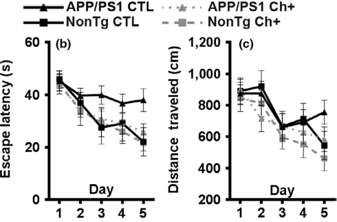 Increase your daily intake of choline, reduce your chance of Alzheimer's