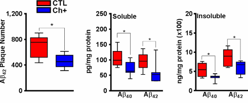 Increase your daily intake of choline, reduce your chance of Alzheimer's