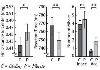 A couple of grams of choline improve coordination ability