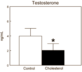 Too much cholesterol lowers testosterone level: animal study