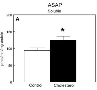 Too much cholesterol lowers testosterone level: animal study