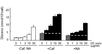 Cirsium oligophyllum extract enhances slimming effect of caffeine
