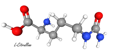 Does it make sense to combine beet root and citrulline?