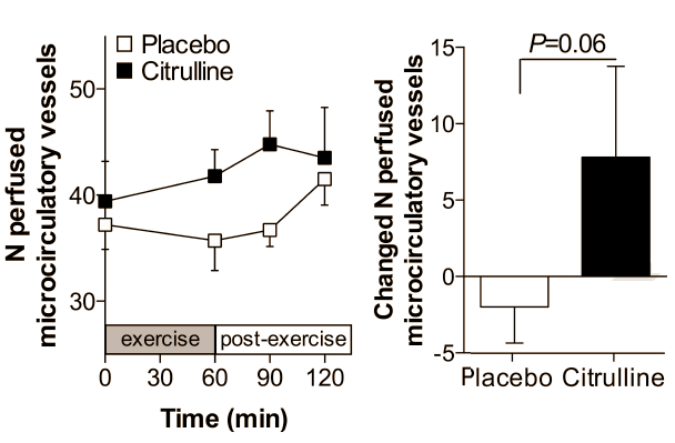 Sports drinks with fast carbohydrates that endurance athletes drink during training sessions, and also protein shakes that bodybuilders down before pumping iron, probably work better if they contain a couple of grams of L-citrulline [structural formula on the right]. Scientists at Maastricht University Medical Centre in the Netherlands discovered that L-citrulline boosts the body's nutrient uptake during exertion.