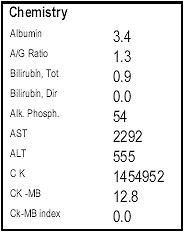 New bodybuilding record: creatine kinase level of one and a half million