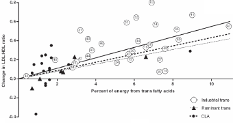 CLA as unhealthy as synthetic trans fatty acids