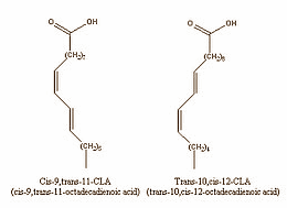 Bodybuilders who take 6 g CLA a day synthesise more testosterone, according to a small human study published by Italians in 2012 in the Journal of Strength and Conditioning Research.