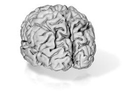 People who eat vegetables are happier and more creative