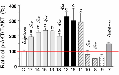 Modified ecdysteroids with more anabolic effect