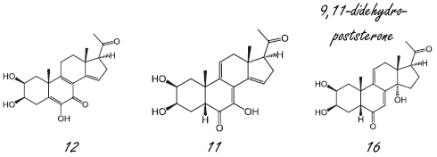 Modified ecdysteroids with more anabolic effect