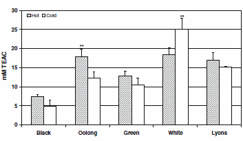Cold brewed white tea contains most antioxidants