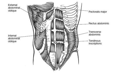 Two elite exercises for your abs
