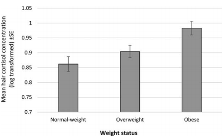 Increased cortisol levels from chronic stress make you fat