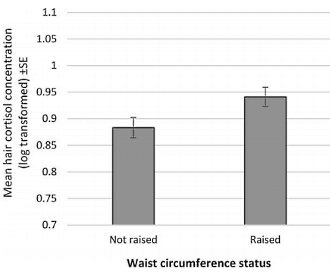 Increased cortisol levels from chronic stress make you fat