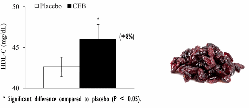 How drinking two glasses of cranberry juice per day improves your health