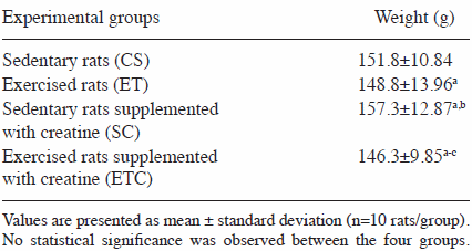 Creatine + endurance training = a lot more mitochondria in your muscle cells