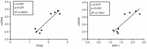 Creatine + endurance training = a lot more mitochondria in your muscle cells