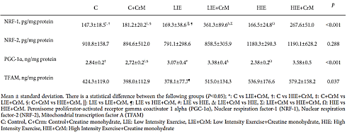 Light-intensity training still makes you fitter - thanks to creatine supplementation