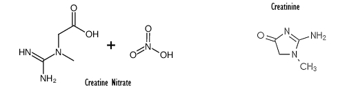 Combination of creatine nitrate and creatinine outperforms creatine nitrate or creatine monohydrate