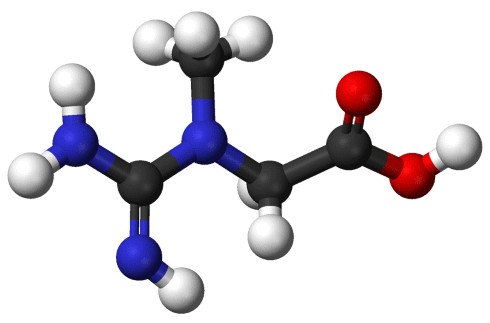 Muscles absorb creatine better if you ingest the creatine [first structural formula] with carbohydrates, especially if you take the mixture after training. This trick works even better if you add a supplement containing alpha-lipoic acid [second structural formula], sports scientists at St. Francis Xavier University in Canada discovered.