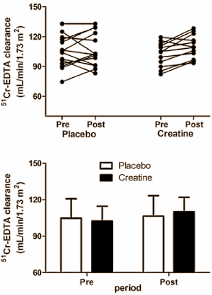 Supplementation with creatine, you sometimes hear, is bad for your kidneys. Nevertheless, Brazilian researchers at the University of Sao Paulo demonstrated in 2008 that creatine had no negative effect on the kidney functioning of healthy test subjects aged between 18 and 35. A few weeks ago the Brazilians went a step further. They published a study which shows that the combination of creatine and protein supplementation isn't dangerous for the kidneys.