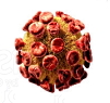 Sleep speeds up post-viral healing