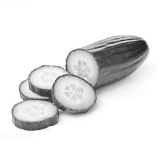 Fisetin, the life-extender in cucumber, makes senescent cells disappear from the body