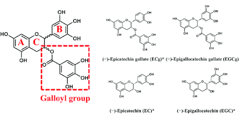 How much green tea you need to drink to protect yourself against the flu?