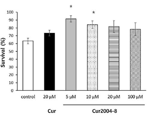 Cur2004-8 more effective than curcumin, animal study