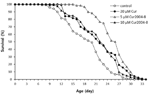 Cur2004-8 more effective than curcumin, animal study