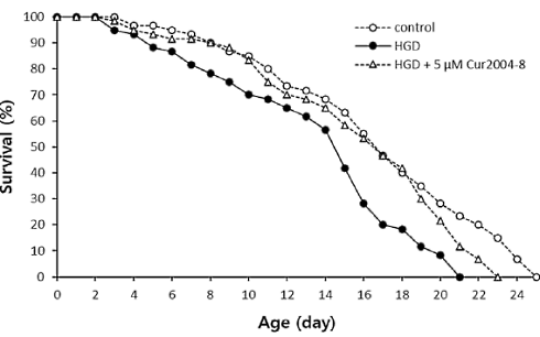Cur2004-8 more effective than curcumin, animal study