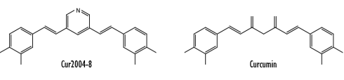 Cur2004-8 more effective than curcumin, animal study