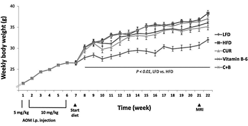 Vitamin B6 may enhance the cancer-inhibiting effect of curcumin