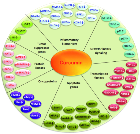 Vitamin B6 may enhance the cancer-inhibiting effect of curcumin