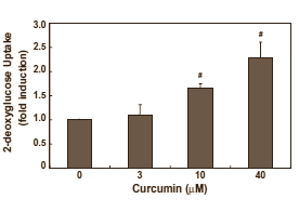 Curcumine et absorption du glucose
