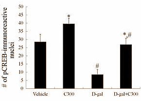 Improve your learning with turmeric