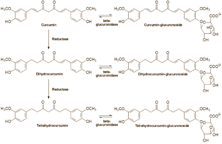 Fifty times more effective than ordinary curcumin