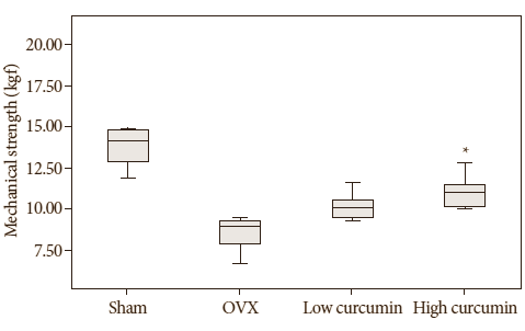 Curcumin, the principal bioactive substance in turmeric, protects the skeleton against degeneration once the natural secretion of bone-building hormones starts to decline. Researchers at Kyungpook National University in Korea draw this conclusion from an experiment they did with female rats that shouldn't really have been able to produce estradiol any longer  but that somehow still managed to do so.