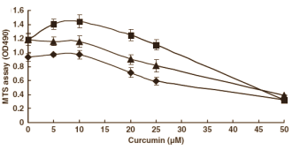 Curcumin, isoflavone and androgen mix protects prostate