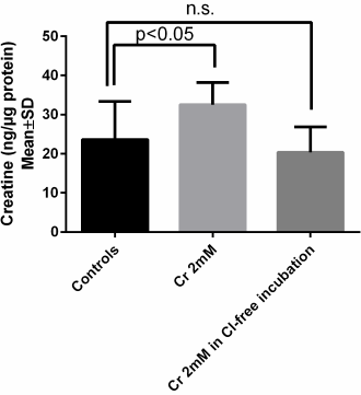 Di-acetyl creatine ethyl ester is at least 1000 times more effective than regular creatine