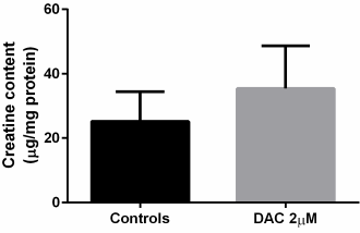 Di-acetyl creatine ethyl ester is at least 1000 times more effective than regular creatine