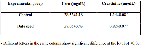 Date palm seed tea increases testosterone levels