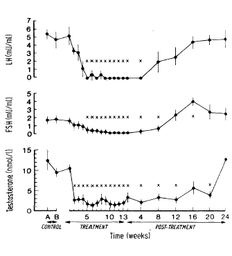 Recovery from mild nandrolone use takes six months