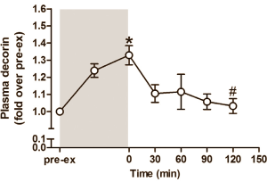 Decorin � myostatin inhibitor and follistatin booster - is key factor in muscle growth